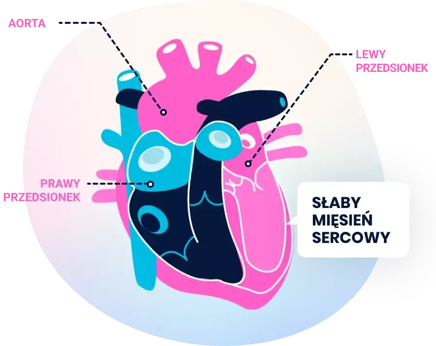 Heart illustration showing heart failure results